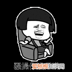 狗在什么情况下能看见鬼 狗看见鬼有几种表现