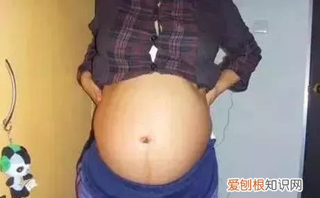 男宝宝肚型图片大全 典型怀男孩肚子图片七个月