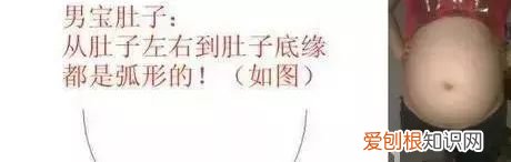男宝宝肚型图片大全 典型怀男孩肚子图片七个月