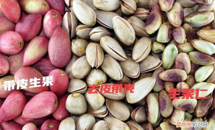 生的开心果如何做熟了吃，生的开心果可以吃 生的开心果能吃