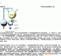 米勒实验取得成功的条件