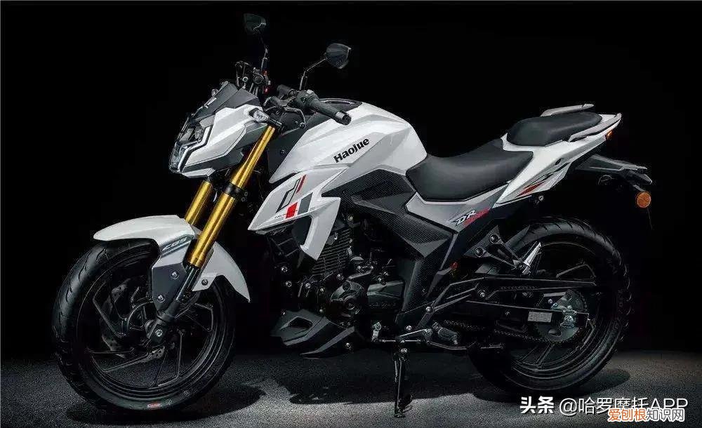 摩托车销量排行榜前十名 公认质量最好的摩托车