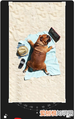 苹果手机怎么截一部分图片,苹果手机裁剪照片应该如何裁剪