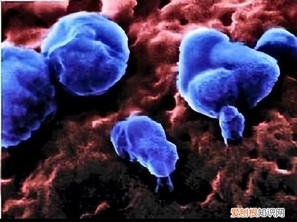 更大的灾难还没有到来？比尔·盖茨警告说：这两种威胁比新冠肺炎更可怕