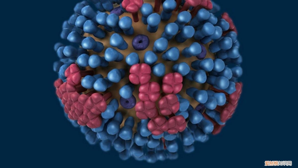 更大的灾难还没有到来？比尔·盖茨警告说：这两种威胁比新冠肺炎更可怕