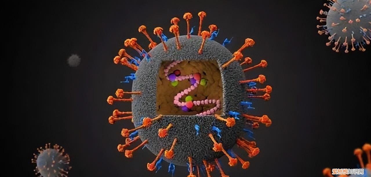 更大的灾难还没有到来？比尔·盖茨警告说：这两种威胁比新冠肺炎更可怕