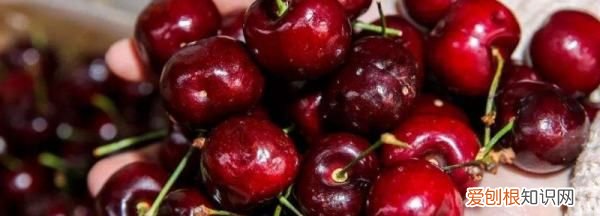 车厘子吃完有点苦味是什么原因 车厘子吃完有点苦味原因