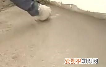 地毯不平怎么处理方法 地毯不平怎么处理