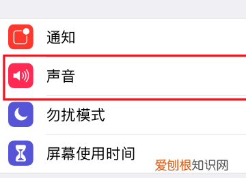 苹果手机怎么静音，苹果手机静音如何静音