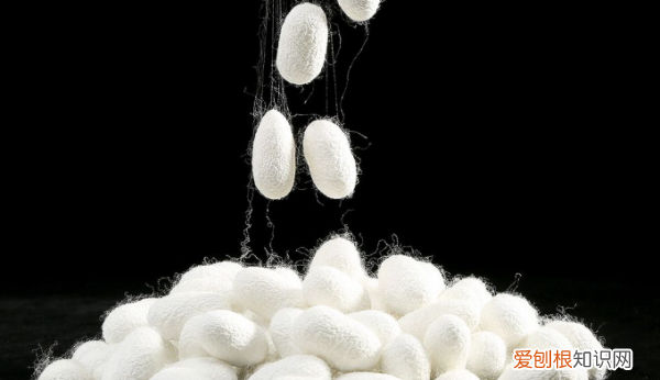 桑蚕丝缩水一般会缩多少 70棉30桑蚕丝会缩水