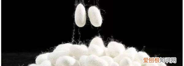 桑蚕丝缩水一般会缩多少 70棉30桑蚕丝会缩水