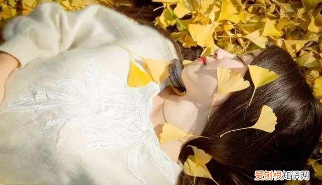 西洋参泡水的营养价值 西洋参泡水的营养价值有多少