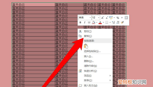 excel如何复制表格保持原有样式