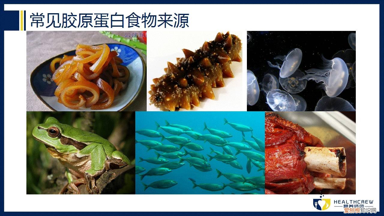 胶原蛋白肽的作用与功效,胶原蛋白肽有奇效？