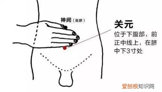 头上白发越长越多的原因是什么？