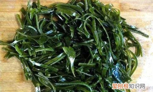 头上白发越长越多的原因是什么？