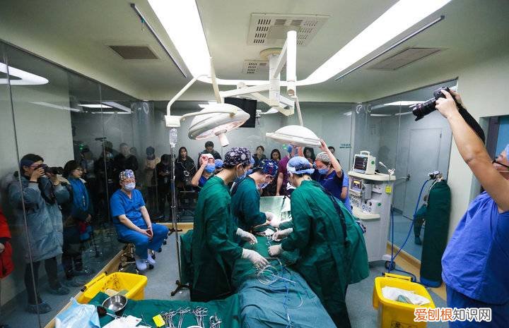 怎么样才能丰胸