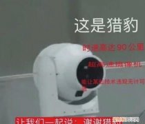 “猎豹”是什么？为什么大家都在谢谢它？｜冬奥问小伟