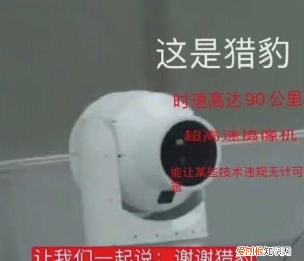 “猎豹”是什么？为什么大家都在谢谢它？｜冬奥问小伟