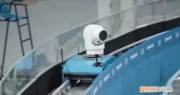 “猎豹”是什么？为什么大家都在谢谢它？｜冬奥问小伟