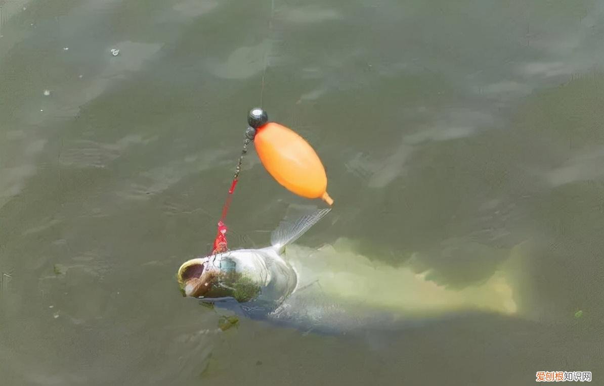 如何正确使用子线 主线与子线搭配到底遵循什么规则