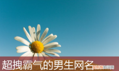 成熟网名好听不俗气2022 2022好听不俗气的网名推荐