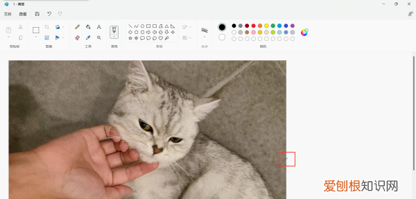 ps两张照片合成一张怎么弄，两张照片合成一张如何合成