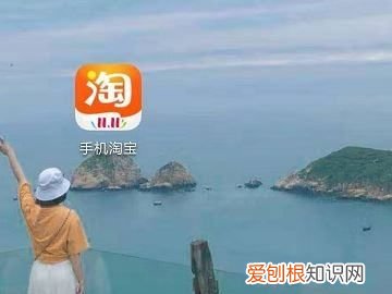 淘宝在哪看几心用户，淘宝号有几颗心要如何进行查看