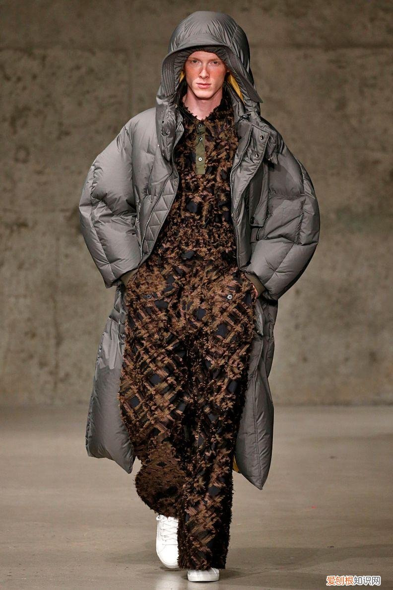 2022年的新小科值得期待吗 小科模特图片