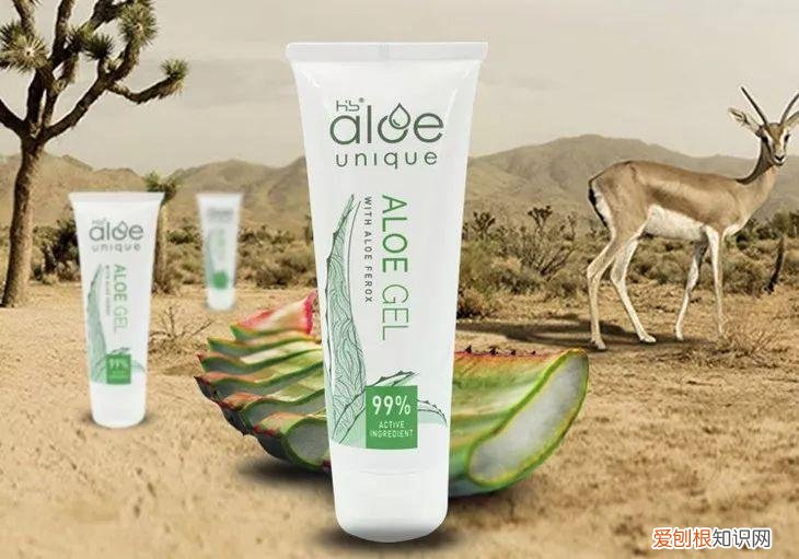 每天晚上坚持涂芦荟胶的效果 芦荟胶对痘痘和痘印有效果吗
