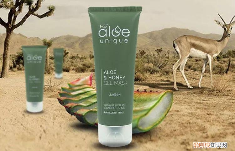 每天晚上坚持涂芦荟胶的效果 芦荟胶对痘痘和痘印有效果吗