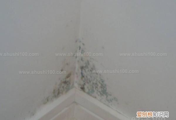 卫生间墙角发霉怎么办 卫生间墙角发霉如何办
