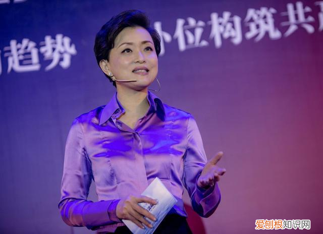 2020年乘风破浪的姐姐主持人是谁