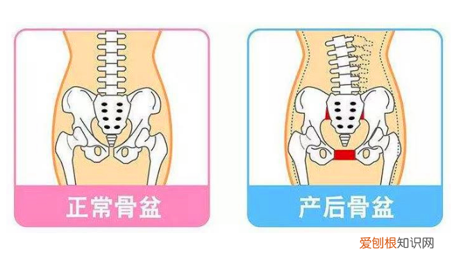 少女胯和妈妈胯有什么区别?