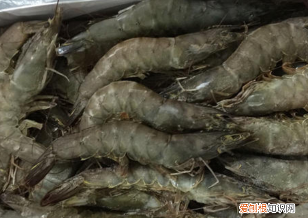 虾放冰箱里变黑了怎么办 虾放冰箱里变黑了还可以吃