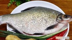 4个字的没有刺的鱼，鳊鱼的功效与作用 鳊鱼的功效有哪些