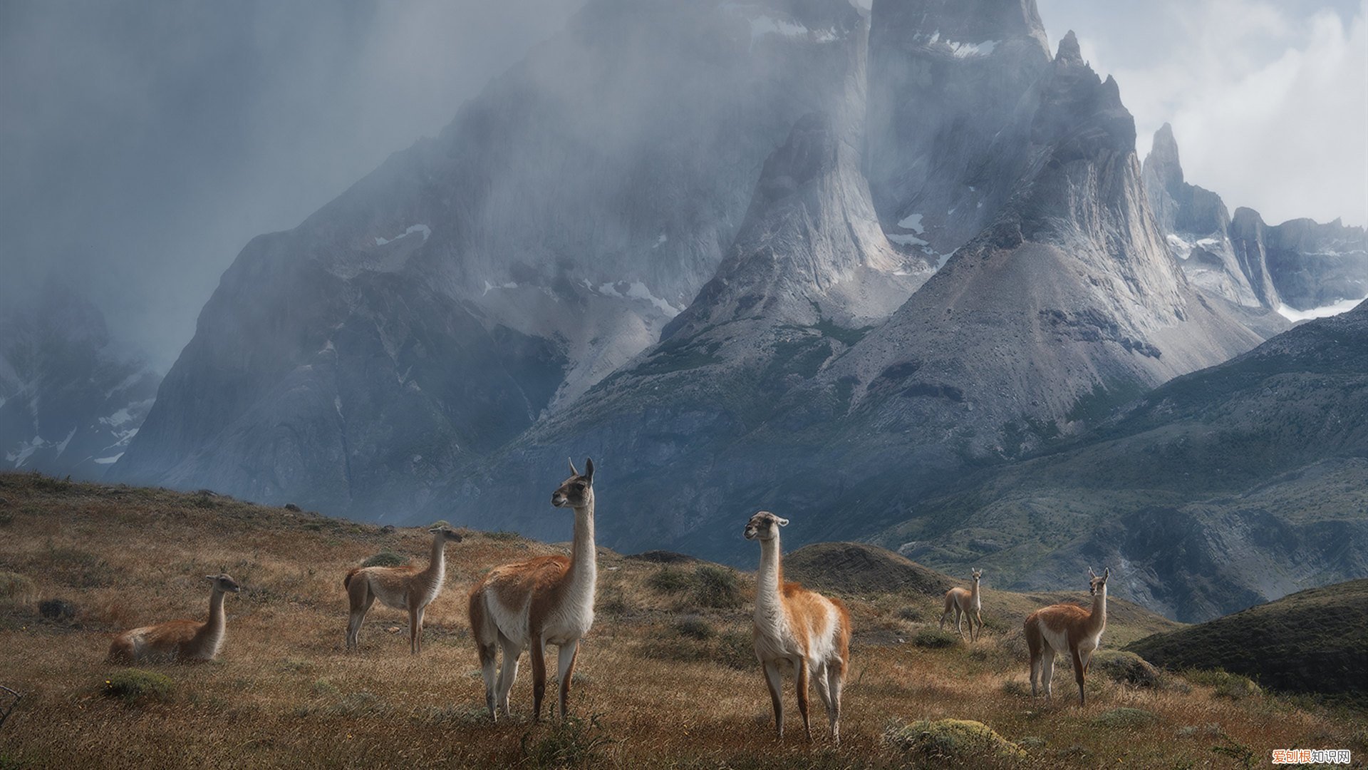 小年祝福朋友的语句有哪些