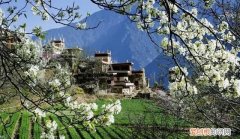 陆游的诗句山重水复疑无路柳暗花明又一村