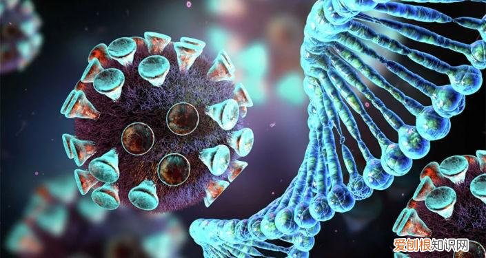 美国辉瑞疫苗究竟如何？ 辉瑞疫苗是哪个国家的