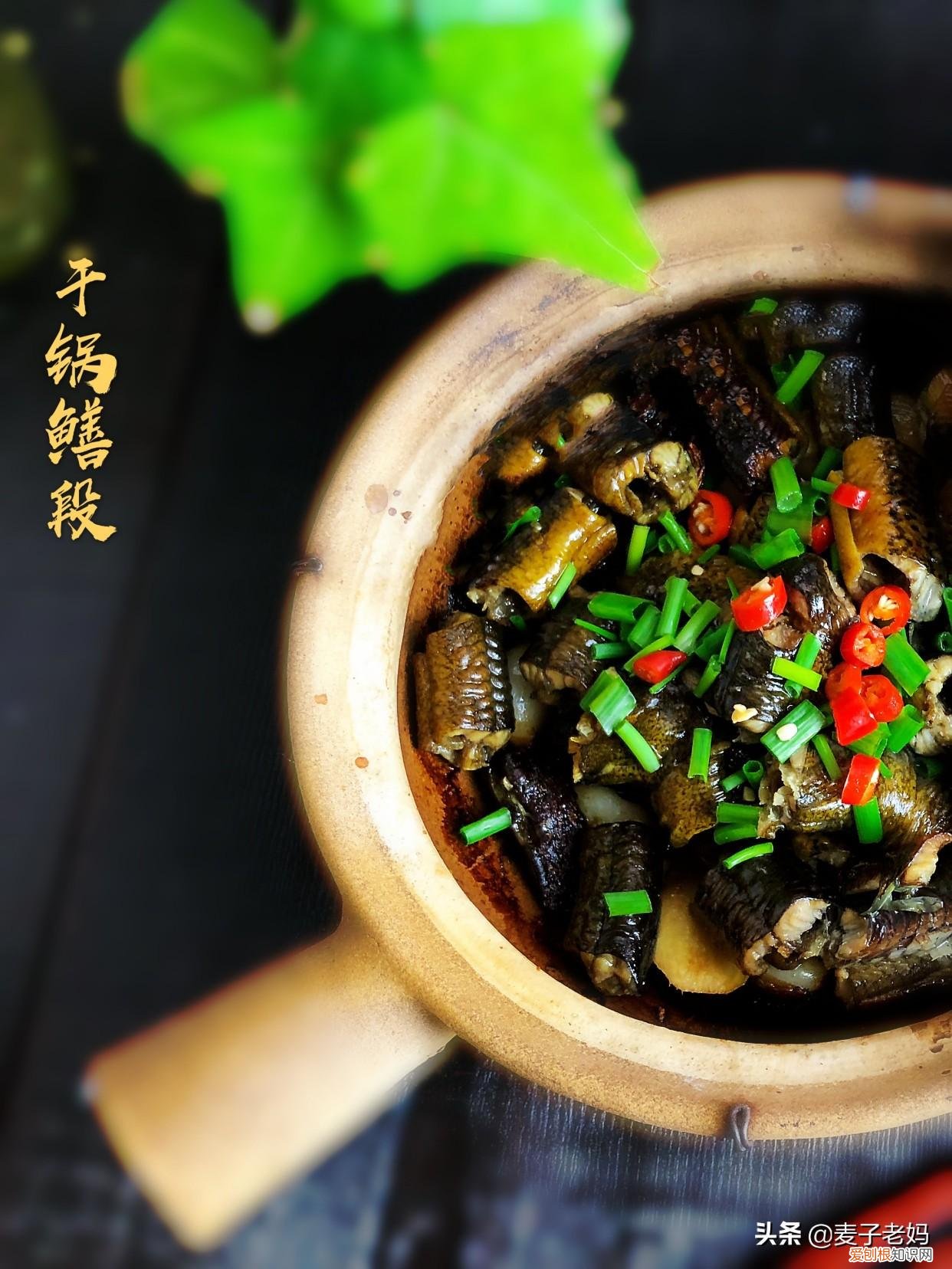 黄鳝怎么做好吃煲汤 黄鳝怎么做好吃