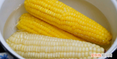 玉米泡水一晚上后再煮熟可以吃 玉米的简介