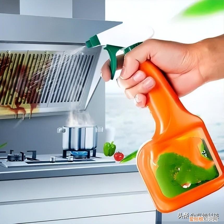 30万元适合投资的五个绿色环保项目 环保创业项目