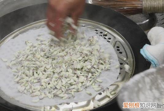 槐花的吃法与做法蒸槐花 槐花的吃法与做法