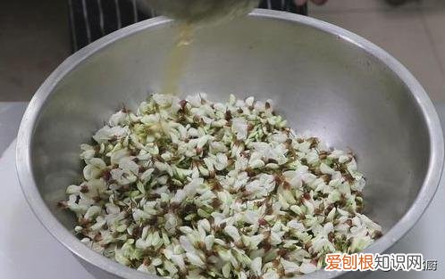 槐花的吃法与做法蒸槐花 槐花的吃法与做法