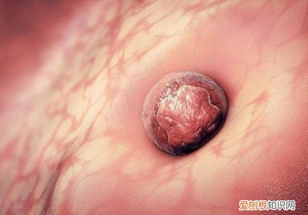 怀孕最快几天可以知道？ 怀孕几天能测出来