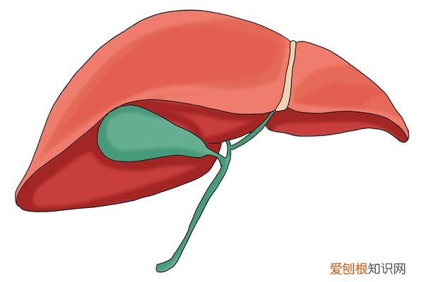 57岁女性腹胀腹痛，认为是胃炎，CT医生摇了摇头：肝癌