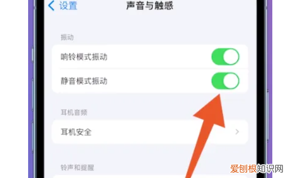 苹果手机中如何静音，苹果手机怎么静音模式振动