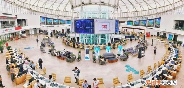 国家知识产权局机关服务中心电话