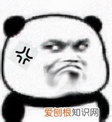 6个高清、无版权的图片资源网站 高清图网站