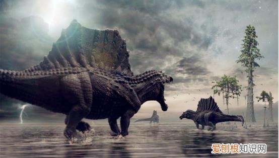 地球疯狂地喝水?每年地球内吞噬这么多水,都会去哪里?